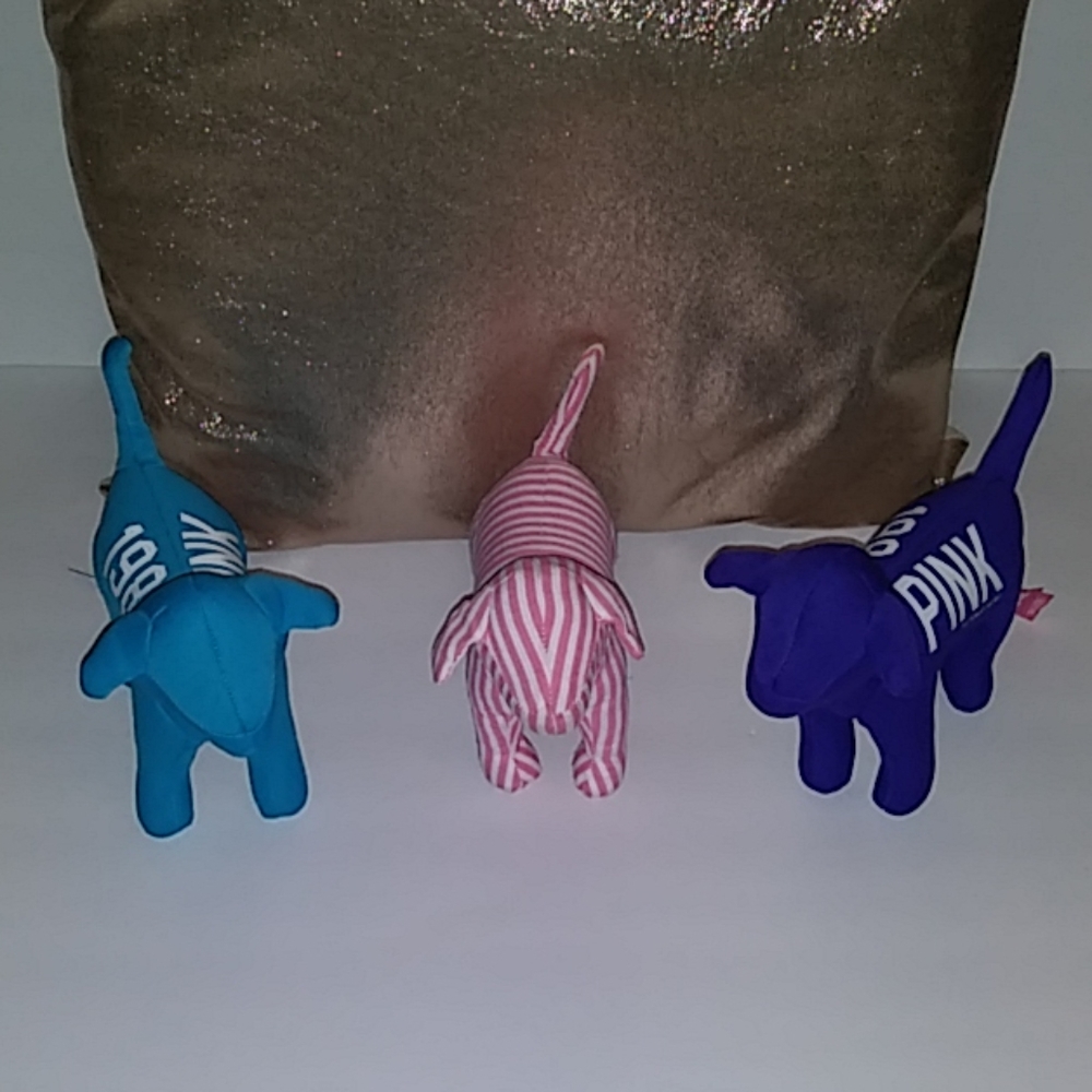 PINK by Victoria's Secret Dog Bundle